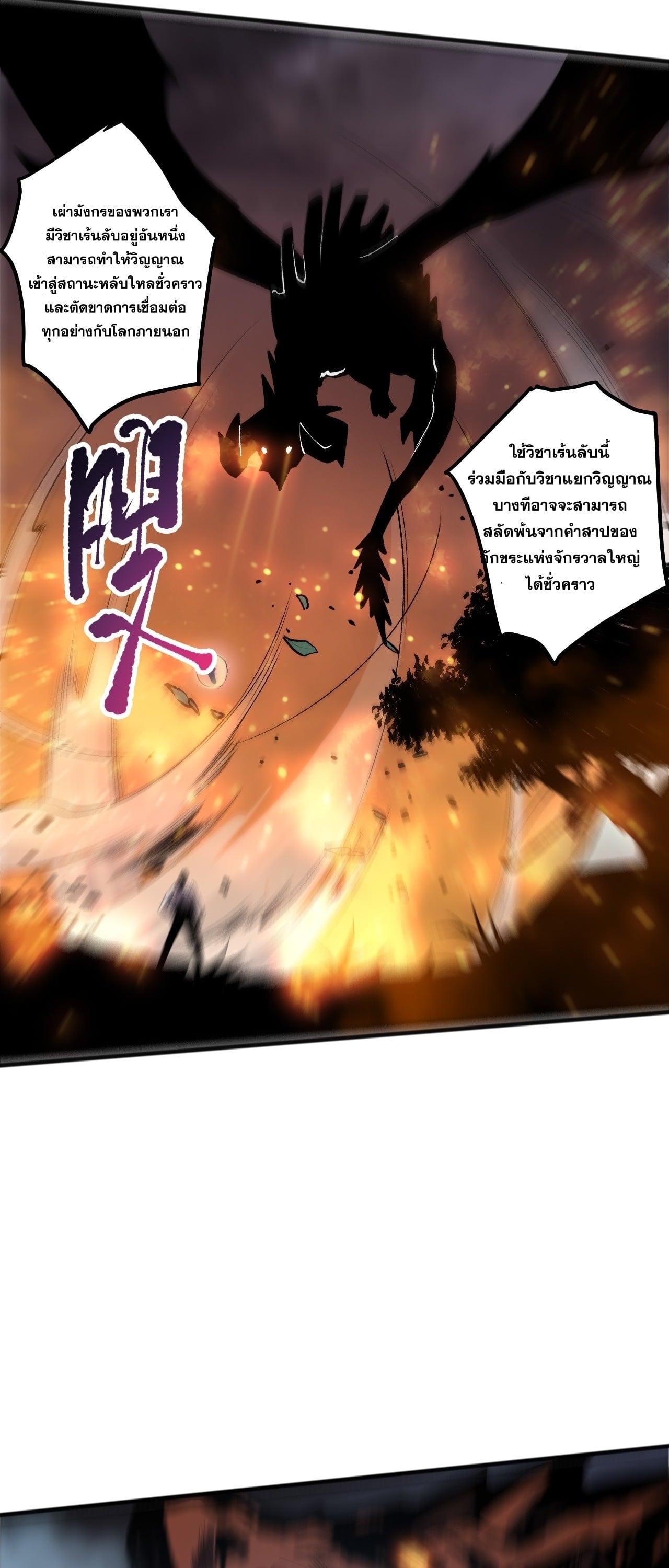 ตอนที่ 291 - หน้า 50