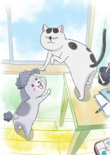 Inu to Neko Docchi mo Katteru to Mainichi Tanoshii เลี้ยงทั้งหมาและแมว ทุกวันก็มีความสุข