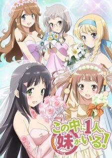 Kono Naka ni Hitori Imouto ga Iru! เธอน่ะหรือคือน้องสาวผม