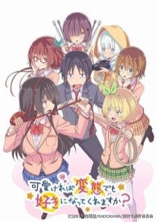 Kawaikereba Hentai demo Suki ni Natte Kuremasu ka